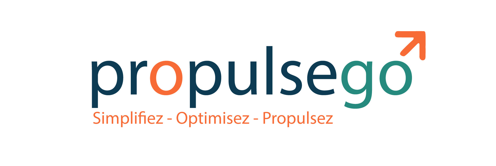 Logo PropulseGo